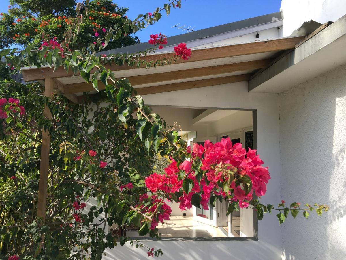 Ancella'S Garden Apartment-Beach-5Min Drive, 1 Hr Montego Bay, 25 Mins Ocho Rios, Continental Breakfast Runaway Bay Extérieur photo