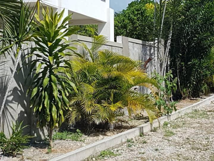 Ancella'S Garden Apartment-Beach-5Min Drive, 1 Hr Montego Bay, 25 Mins Ocho Rios, Continental Breakfast Runaway Bay Extérieur photo