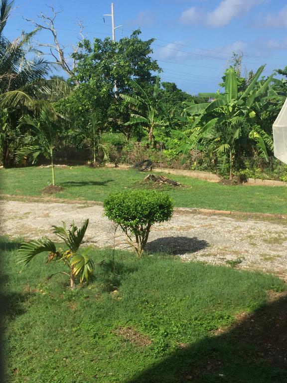 Ancella'S Garden Apartment-Beach-5Min Drive, 1 Hr Montego Bay, 25 Mins Ocho Rios, Continental Breakfast Runaway Bay Extérieur photo